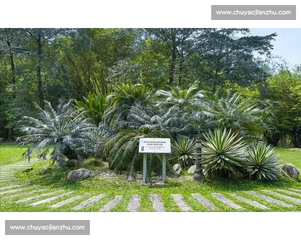 金杯赛非洲独苗：南非 2005 年的跨洋之旅